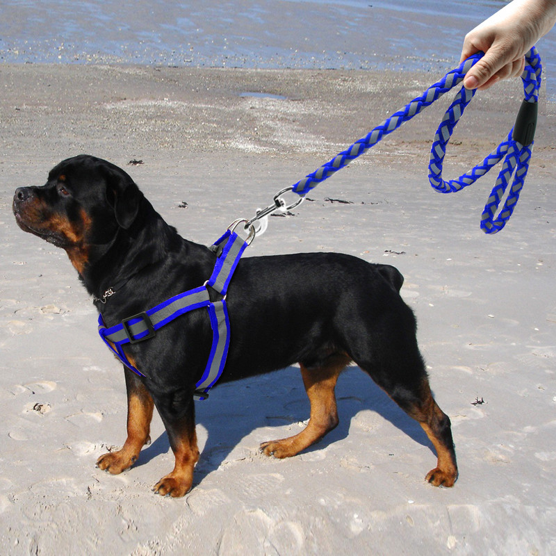 Atstarojoša neilona suņu siksnas veste bez vilkšanas, regulējama mājdzīvnieku kucēnu pastaigu siksnas komplekts mazam un vidējam sunim