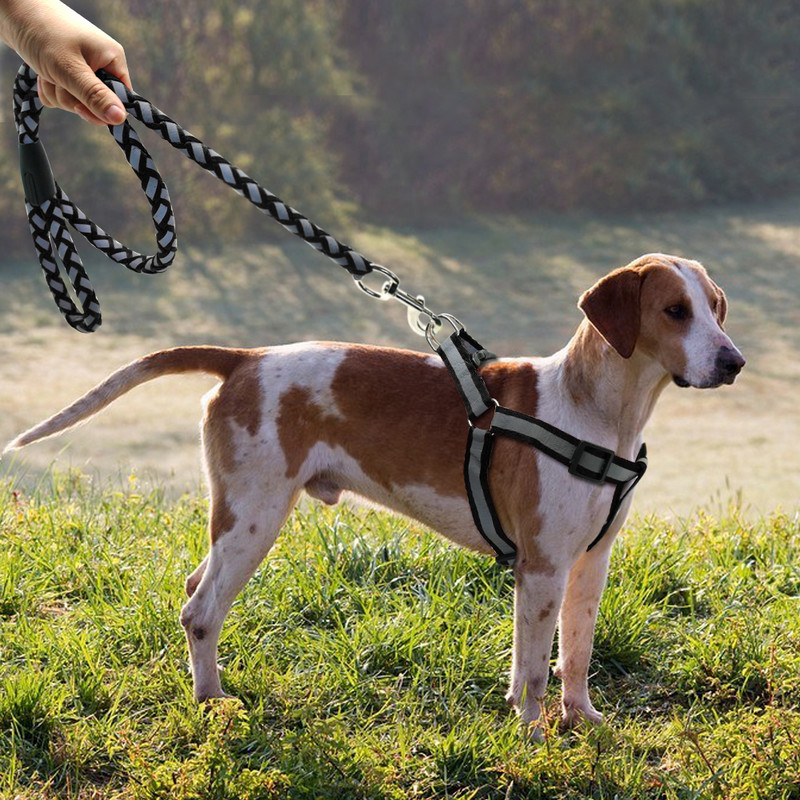 Atstarojoša neilona suņu siksnas veste bez vilkšanas, regulējama mājdzīvnieku kucēnu pastaigu siksnas komplekts mazam un vidējam sunim