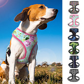 Légáteresztő francia bulldog mopsz hám nejlon állítható kutya chihuahua hám kisállat kellékek kölyök kis közepes méretű kutyák macska mellény