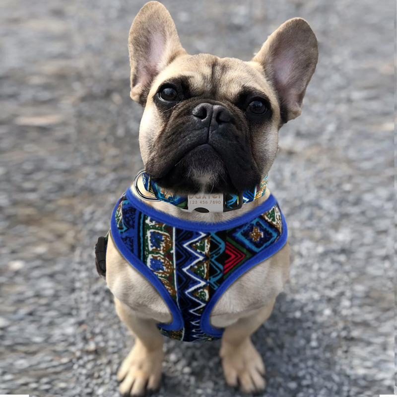 Ham ajustabil din nailon pentru câini, respirabil, imprimat, vestă pentru câini, pentru câini mici, mijlocii mari, buldog francez, articole pentru animale de companie