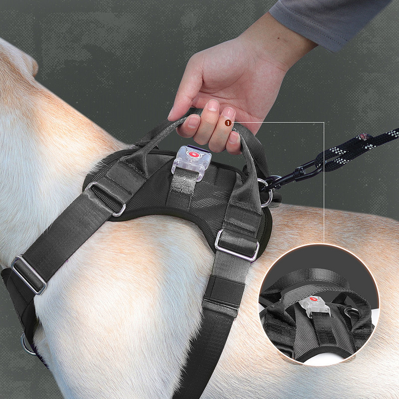 LED suņu iejūga Regulējama neilona mājdzīvnieku vestes iejūga LED zibspuldzes suņu iejūga Kvēlojoša LED gaismas veste vidēji lieliem suņiem Pitbull