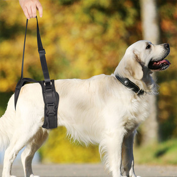 Регулируема прашка за повдигане на домашни кучета Поддръжка на задните крака за малки и средни кучета Найлонови наранявания Аксесоари за колан за възстановяване на кученце с увреждания