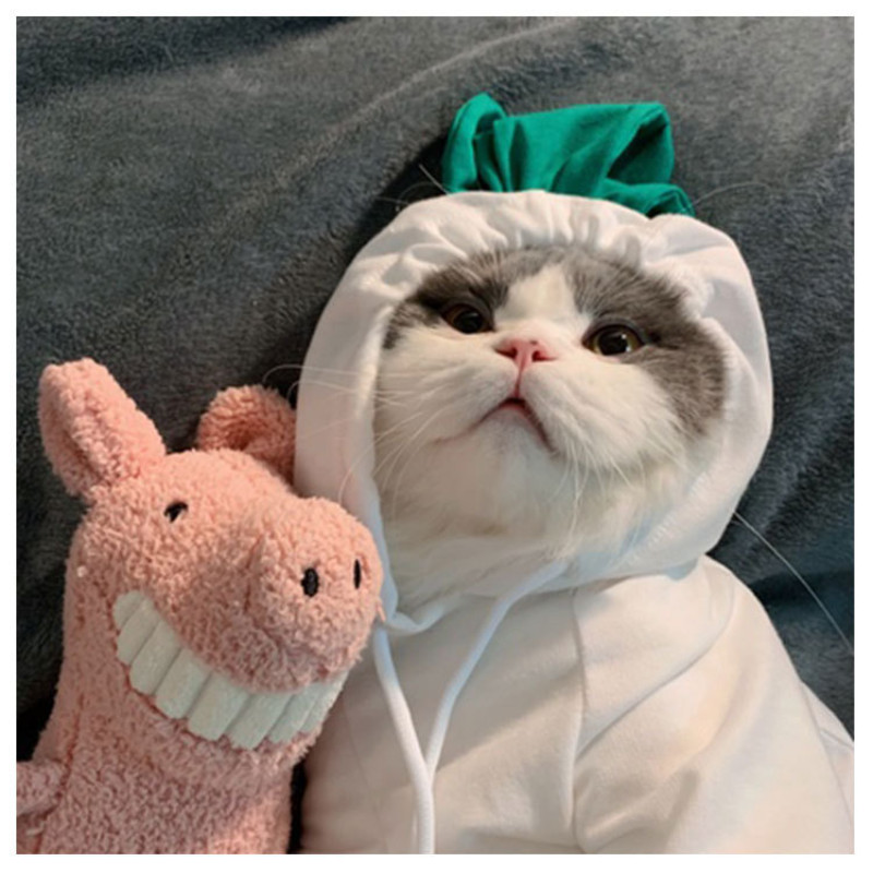 Dog Hoodie- Dog Basic πουλόβερ Παλτό Χαριτωμένο σχήμα βάτραχου Ζεστό χειμωνιάτικο μπουφάν Γάτα Ρούχα για κρύο καιρό Στολή Εξωτερικά ενδύματα σκυλιών Απόκριες