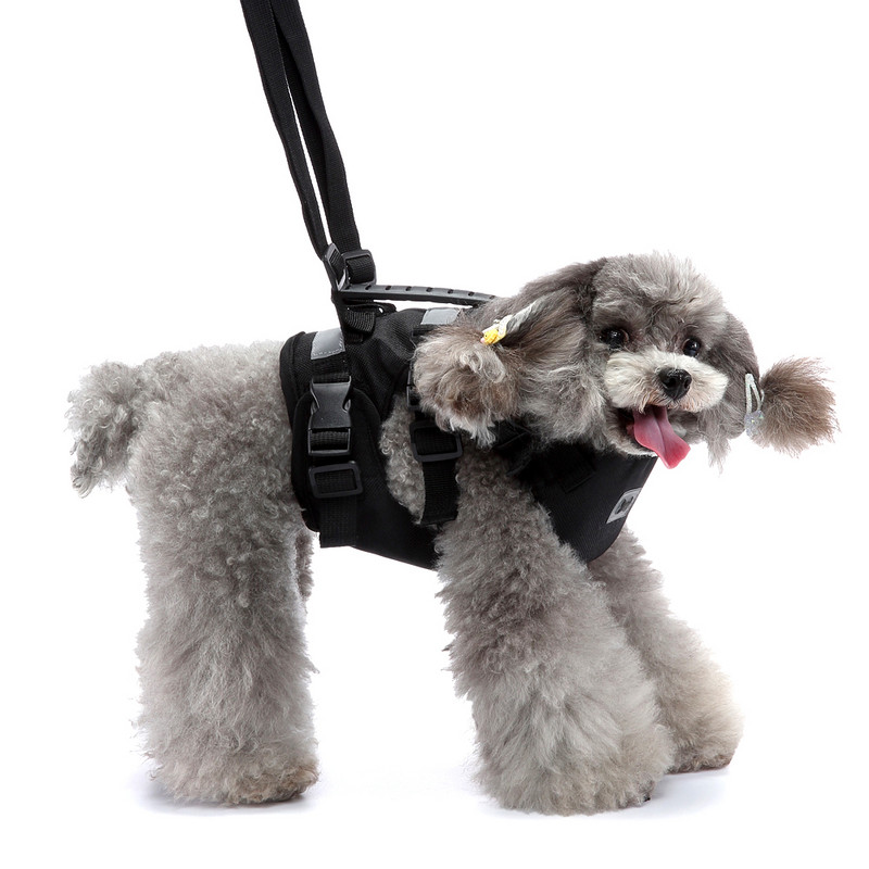 Fényvisszaverő nylon hálós kisállat-emelő heveder régi sérülésekre Kutyák Perro Állítható kölyökkölyök mellény teljes testet tartó fogantyúval