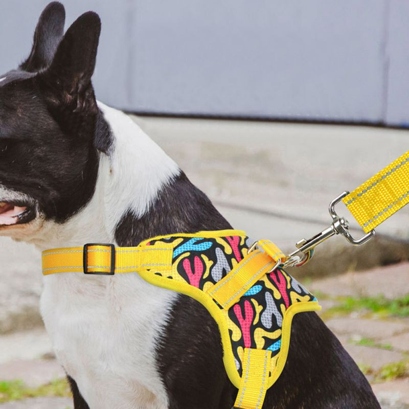 Reflektirajući remen za pse, podesivi prsluk za kućne ljubimce, remen za prsa, obuka na otvorenom, povodac za hodanje, remen, uzice DC05