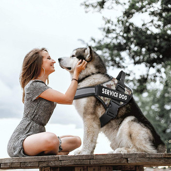 Персонализиран нагръдник за служебно куче Светлоотразителна регулируема жилетка с нагръдник за домашни любимци без издърпване за малко средно голямо куче с персонализирана нашивка