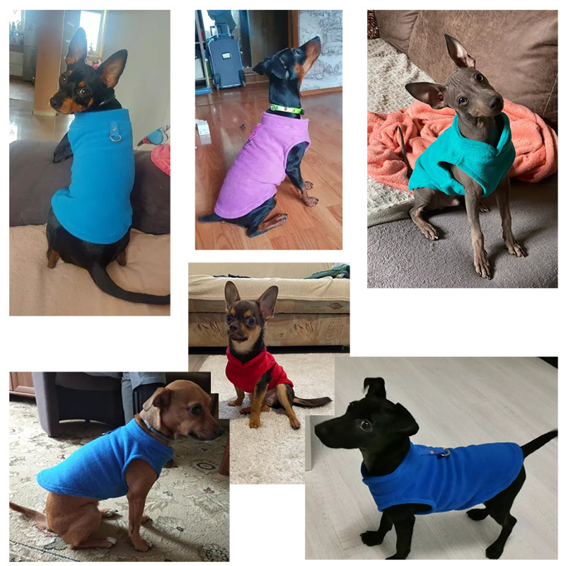 Iarnă fleece haine pentru câini haine pentru cățeluș haină buldog francez costume pug jachetă pentru câini mici vestă chihuahua pisicuță Yorkie