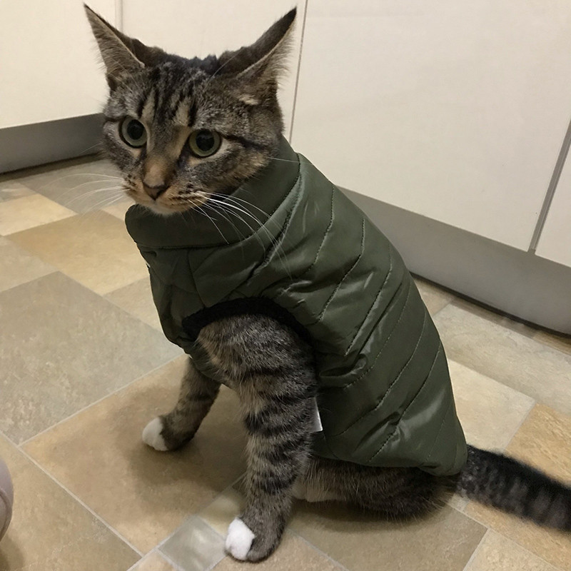 Drabužiai augintiniams Žieminiai šilti striukės mažiems šunims katėms meškiukas čihuahua vienspalvis raudonas žalias paltas šiltas storas augintinio kostiumas