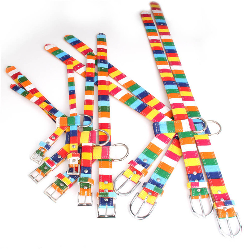 Lemmiklooma koera kaelarihm Disainer kaelarihm nahast tavaline kaelarihm suure väikese koera lõuendile Värviline vikerkaarekujuline koera kaelarihm päitserihm