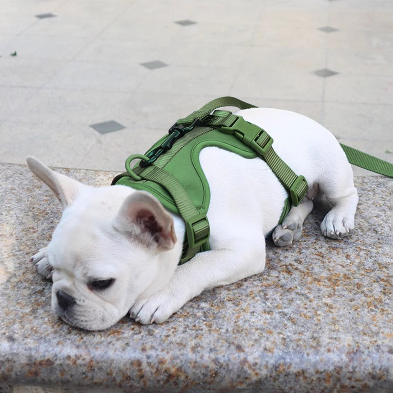 Regulējamas mājdzīvnieku krūškurvja suņu siksnas Elpojošas vestes āra treniņu siksnas maziem un vidējiem suņiem Siksnas un pavadas pastaigām