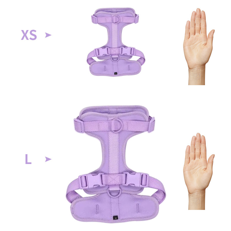 Regulējamas mājdzīvnieku krūškurvja suņu siksnas Elpojošas vestes āra treniņu siksnas maziem un vidējiem suņiem Siksnas un pavadas pastaigām