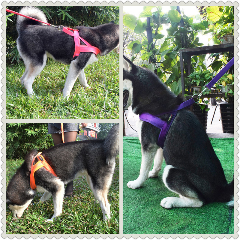 Állítható, légáteresztő mellény Nylon nyakörvek lánc kiskutya macska kisállat kutya hám póráz ólom készlet kutya mellkas pántok kiegészítők