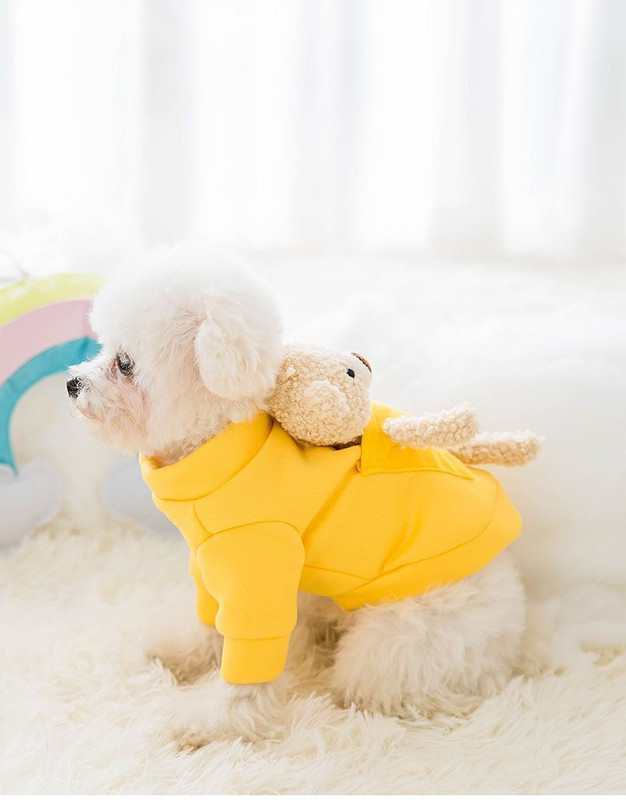 Νέο φθινοπωρινό και χειμερινό πουλόβερ για σκύλους Jersey Spring Cat Ρούχα για κατοικίδια σκύλους για μικρά σκυλιά Chihuahua Teddy Yorkies