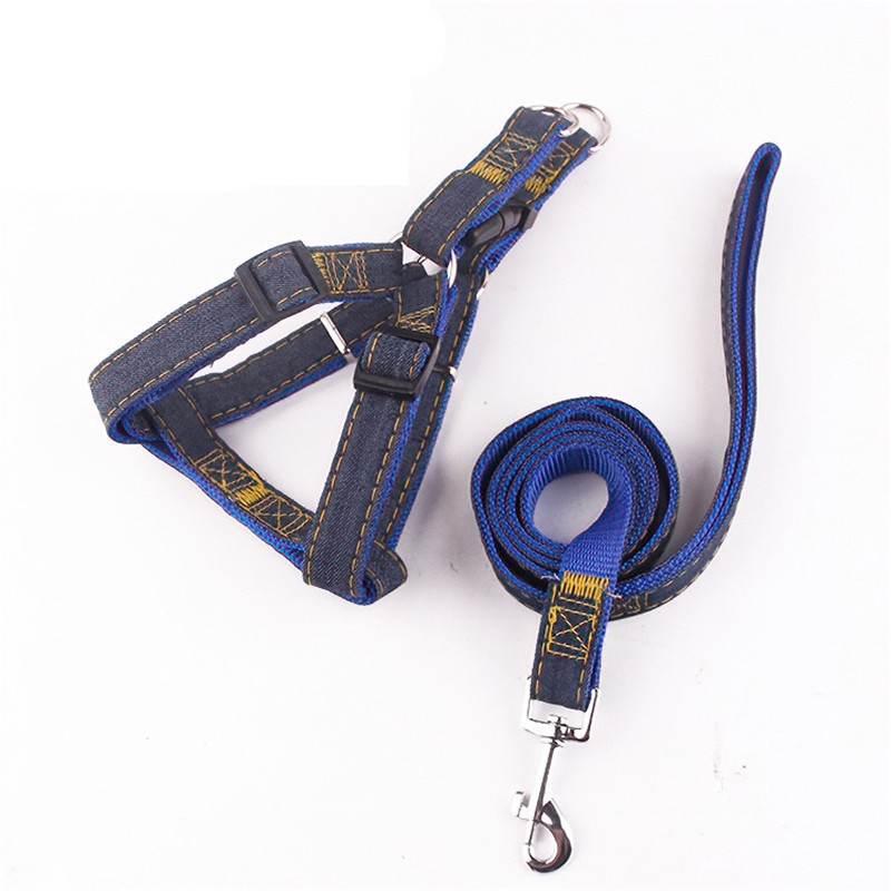 Τζιν λουρί για σκύλους Εκπαίδευση κατοικίδιων Αξεσουάρ κατοικίδιων ζώων Δερμάτινο κολάρο για σκύλους και λουρί Προμήθειες για σκύλους Μπουλντόγκ Γαλλικά
