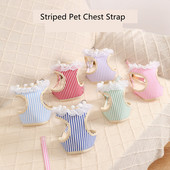 Modes suņu kaķu zirglietu siksnas komplekts Regulējams mežģīnes svītrains mājdzīvnieku iejūga veste Jauka suņa kleita kucēna sieta iejūga kaķa pastaigu vads