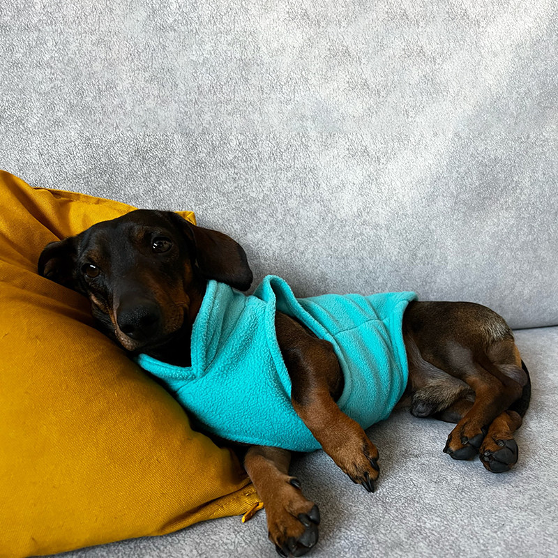 Talvine soe koerajakk D-rõngaga Pehme fliisist lemmikloomariided Prantsuse buldogi Yorkies chihuahua kasukas väikestele koertele kutsika kassi vest