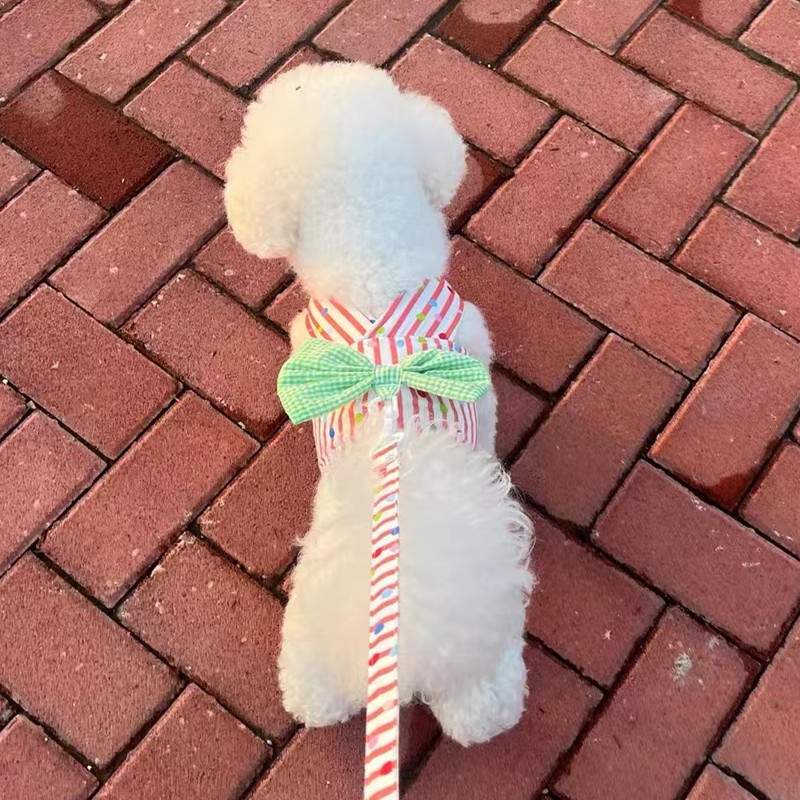 Stripe suņu kaķu zirglietas un svina pavada Jauki mājdzīvnieku vestes iejūgi ar priekšgala kucēnu kaķēnu āra pastaigu treniņu piederumi, elpojoši