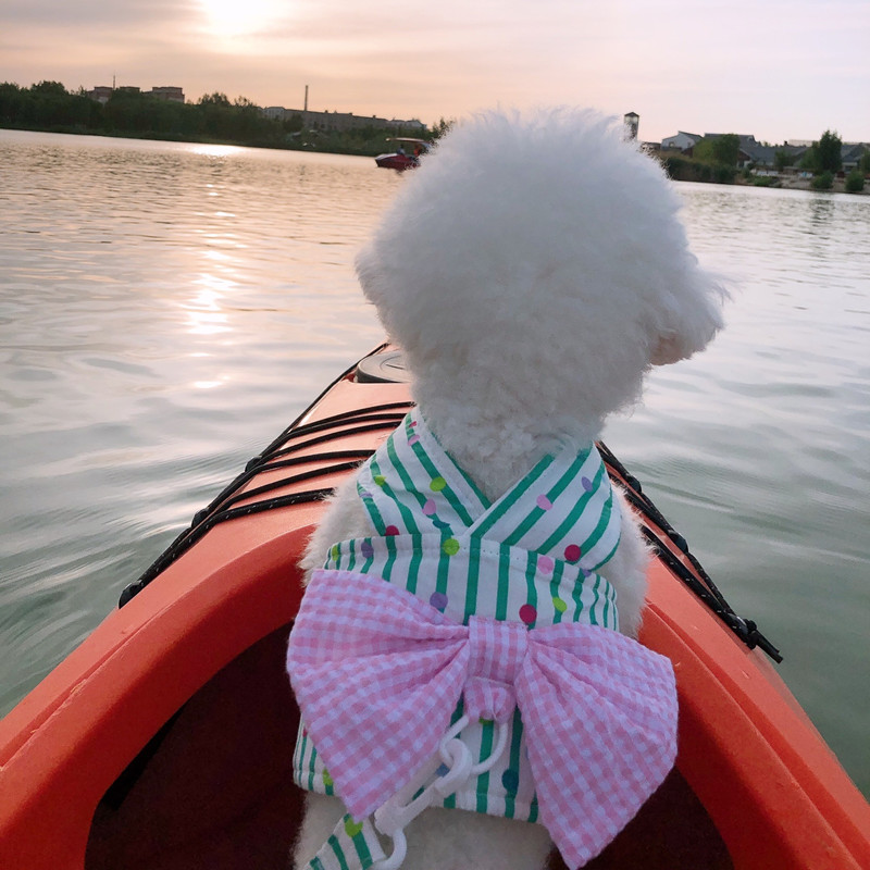 Stripe suņu kaķu zirglietas un svina pavada Jauki mājdzīvnieku vestes iejūgi ar priekšgala kucēnu kaķēnu āra pastaigu treniņu piederumi, elpojoši