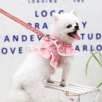 Kikilips koerarakmete jalutusrihm Blingi kivikivist kutsika rinnarihmaga koerarihm Kassi rakmed Vest Lemmikloomatarvikud Chihuahua Yorkie