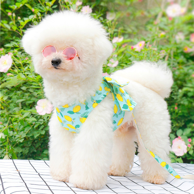 Harnaș de modă pentru câini pentru animale de companie Set de lesă Set drăguț cu fundă rochie de ham pentru cățeluș, guler moale pentru pisici, frânghie pentru plimbare în aer liber, chihuahua