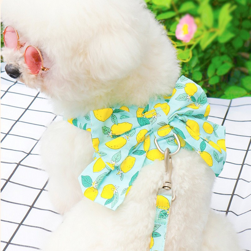 Harnaș de modă pentru câini pentru animale de companie Set de lesă Set drăguț cu fundă rochie de ham pentru cățeluș, guler moale pentru pisici, frânghie pentru plimbare în aer liber, chihuahua
