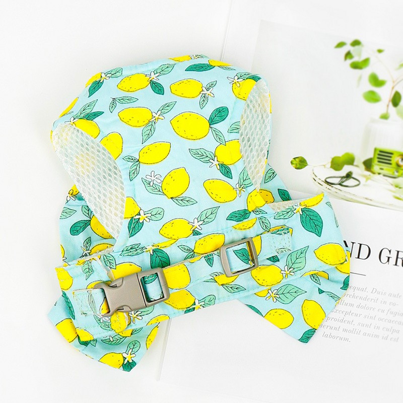 Harnaș de modă pentru câini pentru animale de companie Set de lesă Set drăguț cu fundă rochie de ham pentru cățeluș, guler moale pentru pisici, frânghie pentru plimbare în aer liber, chihuahua