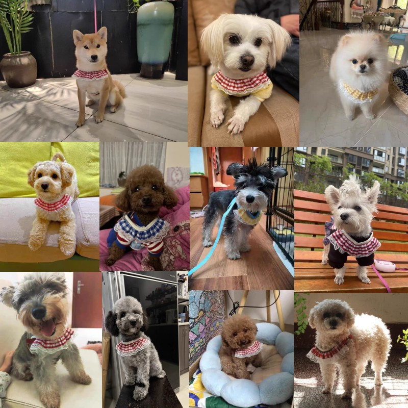 Divat kisállat kutya hám póráz készlet aranyos nyomat kölyök mellény Állítható macska hám puha lélegző cica nyakörv Chihuahua kellékek