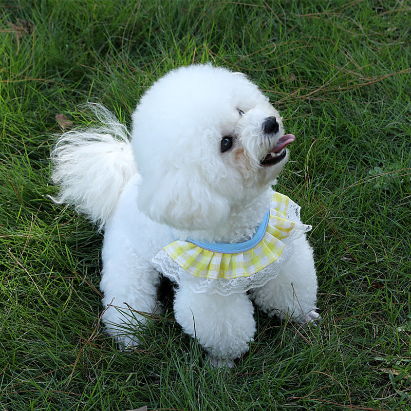 Divat kisállat kutya hám póráz készlet aranyos nyomat kölyök mellény Állítható macska hám puha lélegző cica nyakörv Chihuahua kellékek