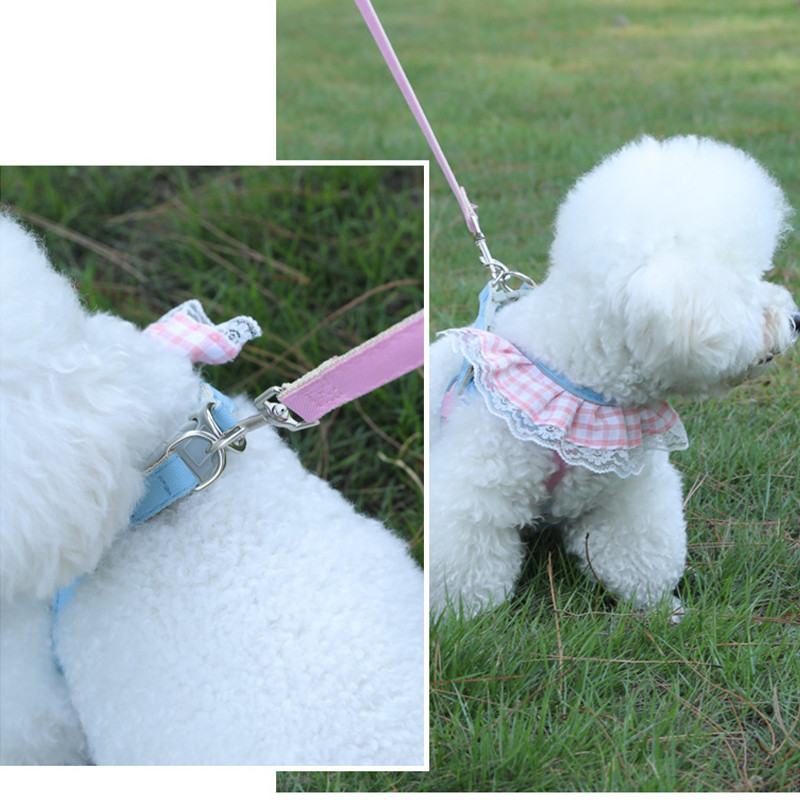 Divat kisállat kutya hám póráz készlet aranyos nyomat kölyök mellény Állítható macska hám puha lélegző cica nyakörv Chihuahua kellékek