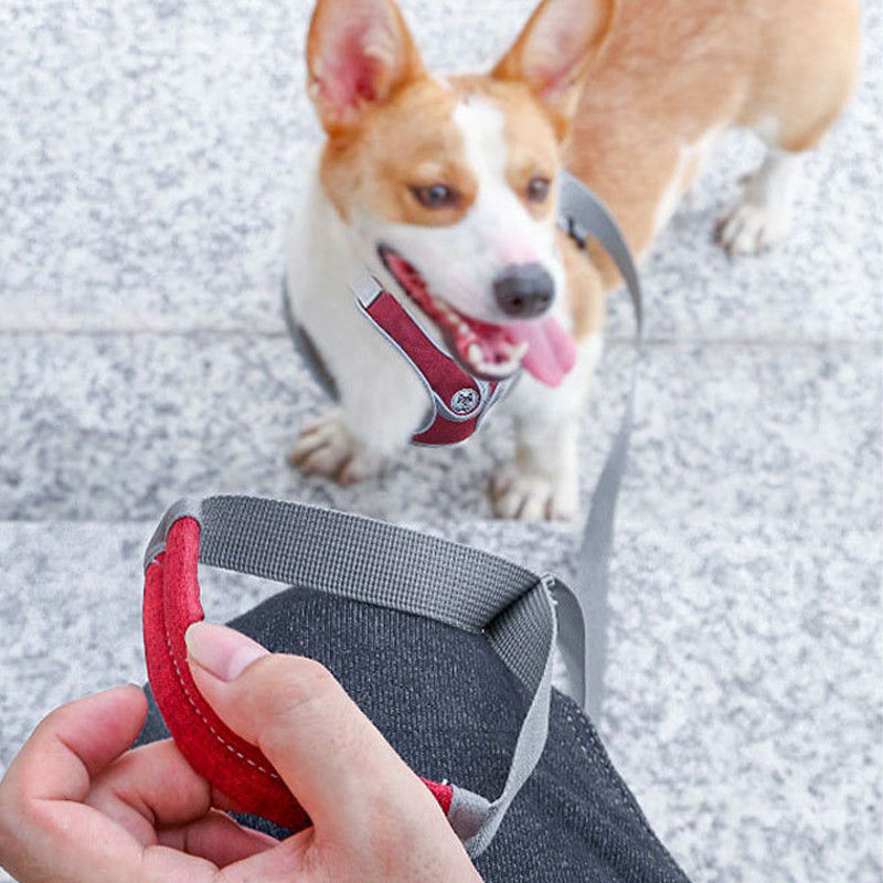 Vestă reflectorizantă pentru câini de talie mică, mijlocie, ham de lux pentru pisici, vestă moale pentru cățeluș, frânghie de plimbare în aer liber pentru chihuahua