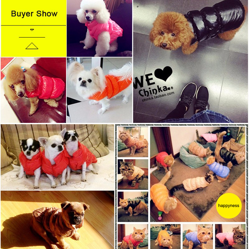 Rudens žiemos drabužiai šunims Stori šilti šuniukų kačių paltai Neperšlampami šunų striukė Čihuahua mopsai Prancūzų buldogų liemenės drabužiai