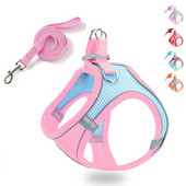 Ērta maza suņu iejūga un pavadas komplekts Tīkla kucēnu vestes iejūga ar atstarojošu sloksni, ieejama āra kaķa veste pastaigām