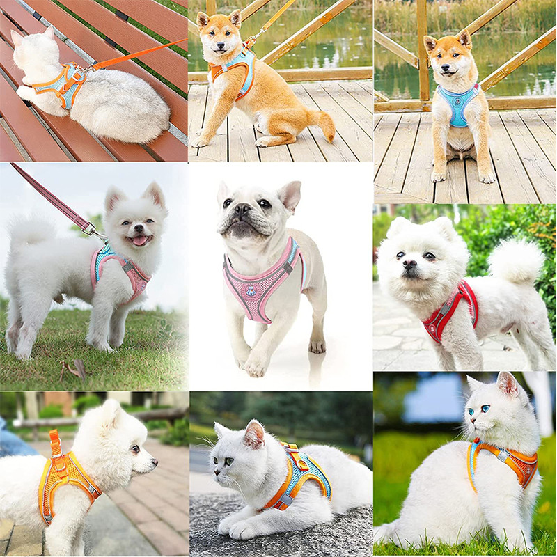 Ērta maza suņu iejūga un pavadas komplekts Tīkla kucēnu vestes iejūga ar atstarojošu sloksni, ieejama āra kaķa veste pastaigām