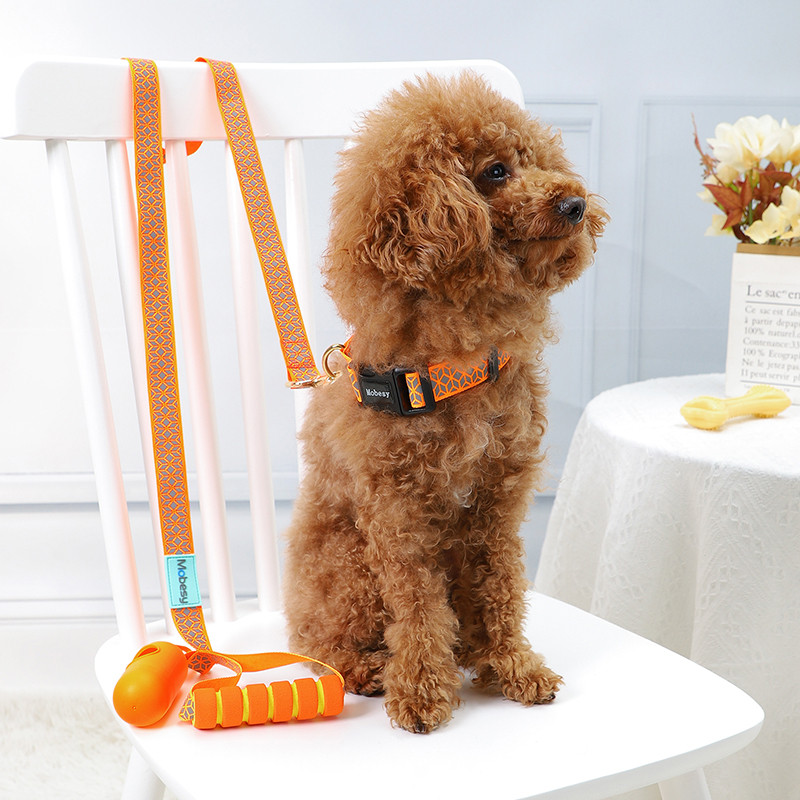 Atstarojoša suņu kakla siksna Izturīga, izturīga mājdzīvnieku kucēna iejūga Vilces virve mazo suņu zvēru bandai korgiju kurts