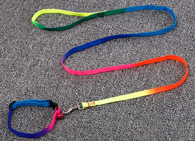 Pārdodu neilona suņu apkakles siksnas un pavadas komplekts maziem lieliem suņiem Veste Krāsaina Lēta Liela Suņa Siksnas Svina Mopsis Buldogs