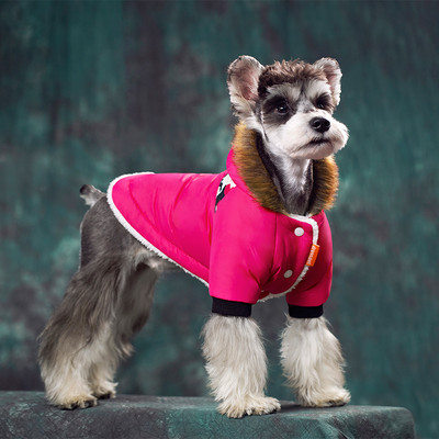 Super silts ziemas suņu apģērbs maziem suņiem Ūdensizturīgs audums rudens biezs mājdzīvnieku kapuces Čivavas kucēnu kostīmu kažoks mopsim