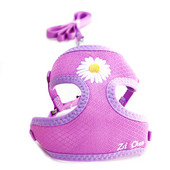 Koreai cukorka színű hímzéses, légáteresztő kis kedvenc kutya hám és póráz készlet puha nylon kiskutya sétáló mellény Chihuahua Yorkie számára