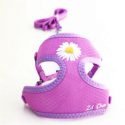 Koreai cukorka színű hímzéses, légáteresztő kis kedvenc kutya hám és póráz készlet puha nylon kiskutya sétáló mellény Chihuahua Yorkie számára