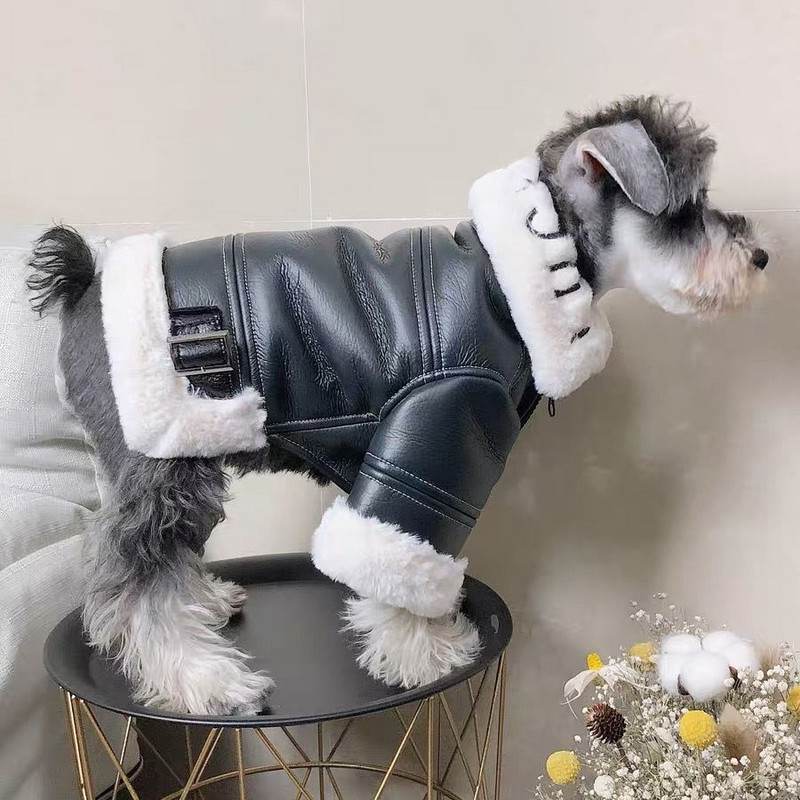 Ādas motociklu jaka mētelis mājdzīvnieku apģērbs suņi biezi suņu apģērbi franču buldogs mode rudens ziema melns zēns maskoti