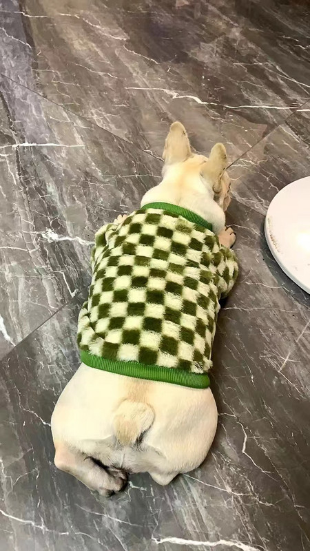 Francia bulldog téli kutyaruhák kabát meleg és vastagított mellény dzseki kövér kutya jelmez Bulldog mopsz zöld kockás kutyaruhák
