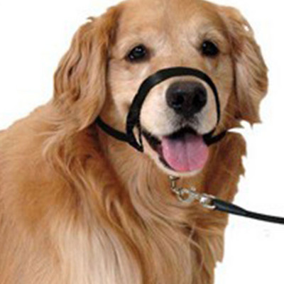 Ρυθμιζόμενο λουρί Gentle Leader Belt Training Leash Leader Dog Collar Leader Belt Harness Muzzle Dog Halter No Pull Bite Straps