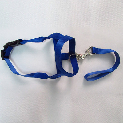 Podesivi pojas Nježni pojas za vođu Povodac za treniranje Povodac Ogrlica za psa Pojas za vođu Pojas za nošenje Brnjica za pse Uzica bez povlačenja Trake za ugriz