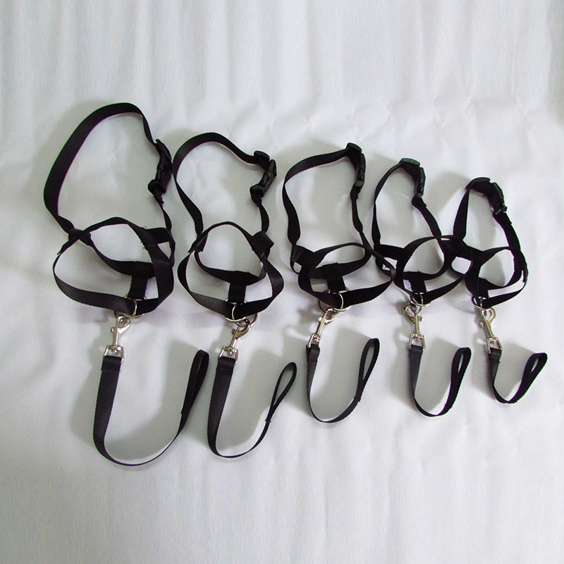 Podesivi pojas Nježni pojas za vođu Povodac za treniranje Povodac Ogrlica za psa Pojas za vođu Pojas za nošenje Brnjica za pse Uzica bez povlačenja Trake za ugriz