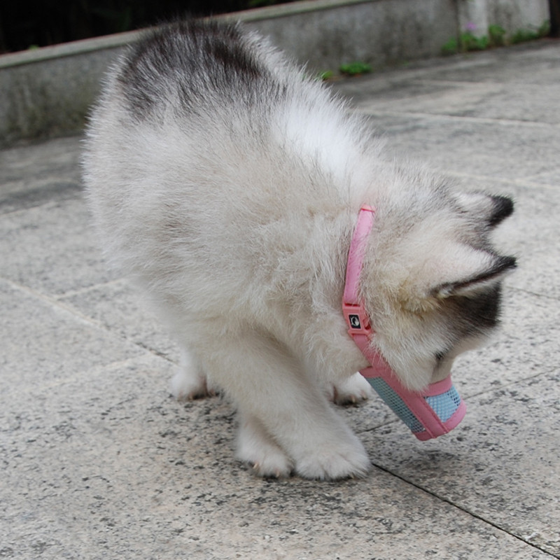 2021 нов намордник за куче кученце малко средно голямо куче изкуствена кожа Найлонова мрежеста муцуна намордник за домашни любимци маска против ухапване за кучета Гореща разпродажба