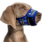 Koera koon väikestele suurtele koertele Reguleeritav võrk, hingav haukumisvastane lemmiklooma suukorv koertele Nailonrihmad Koeratarvikud