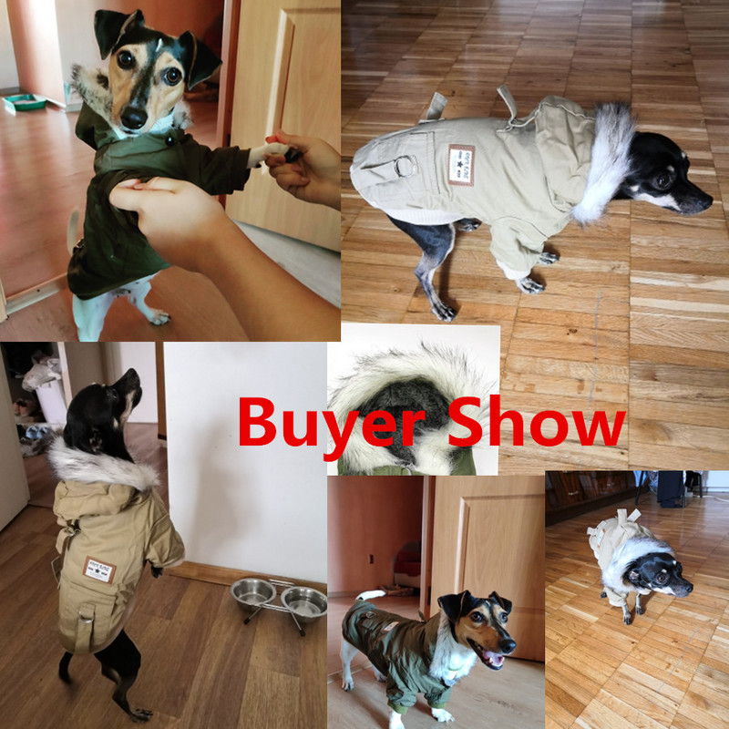 Kvaliteetsed lemmikloomad Koerariided Puuvill Talvine Paks Jakk Mantel Kostüümid Hoodid Rõivad väikestele kutsikatele Kassirõivad 2021