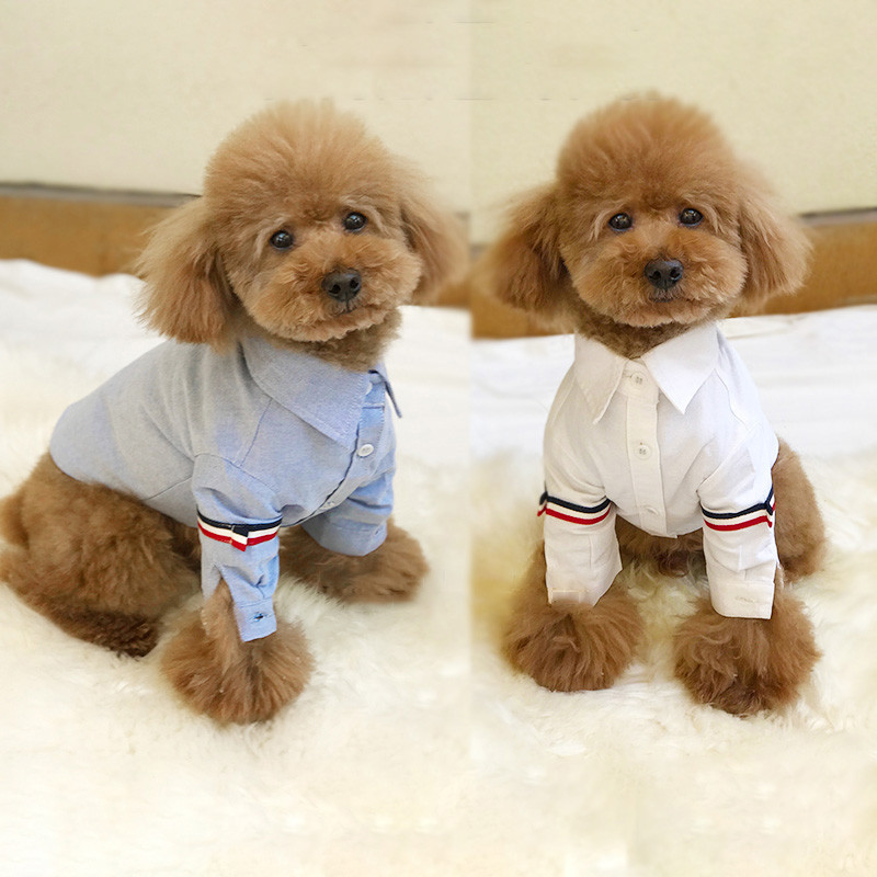 Korea stiilis kassi koerte riided koertele Lemmiklooma särgid Kutsikate riided väikestele ja keskmistele koertele Särk Lemmikloomade riietus Lemmiklooma koera kostüüm Bulldog
