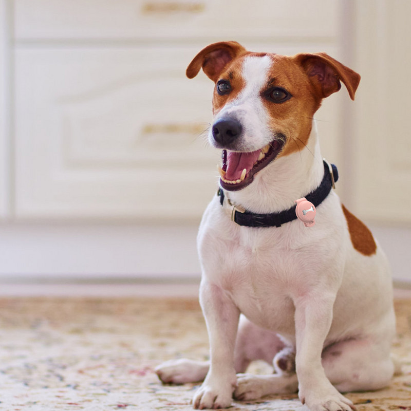 Mājdzīvnieku GPS izsekotāja viedā lokatora futrālis Mājdzīvnieku noteikšanas valkājams izsekotāja lokatora vāciņš kaķu suņu ierakstu izsekošanas ierīcei, kas novērš pazaudēšanu