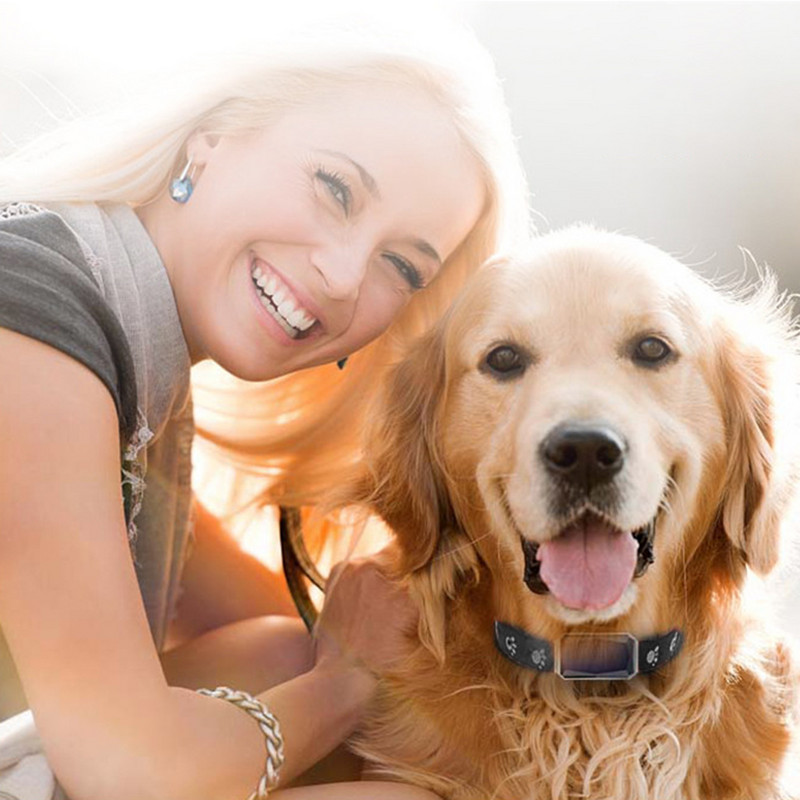 Ip67 Αδιάβροχο Gps Agps Lbs Wifi Tracker για Cat Dog Κολάρο τοποθεσίας εντοπισμού θέσης σε πραγματικό χρόνο Αναλώσιμα κατοικίδιων ζώων