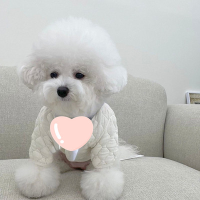 New Ins Winter Pet βαμβακερό παλτό καρό παλτό Ζεστό κουκούλα σχεδιαστής ρούχα για σκύλους Χριστουγεννιάτικα ρούχα για σκύλους Ρούχα σκυλιών για μικρά σκυλιά